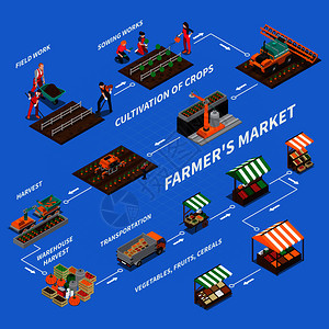 农场当地市场等距流程图成与图像代表同阶段的蔬菜生产销售矢量插图农贸市场流程图图片