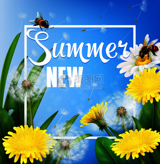 现实的夏季框架与明亮的草甸蒲公英花绒毛蓝色背景矢量插图现实的蒲公英框架图片