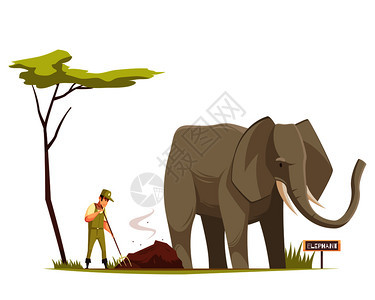 大象站户外动物园管理员工作清洁领土下的树木卡通构图矢量插图大象动物园卡通作文图片