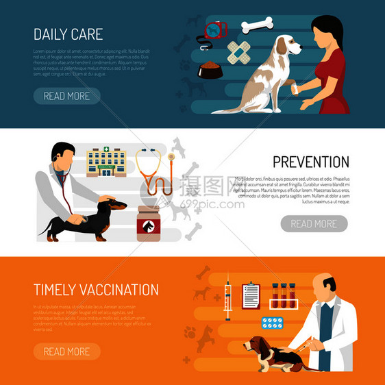梳理服务水平横幅兽医人物与狗可编辑的文本,并阅读更多的按钮矢量插图梳理水平横幅收集图片