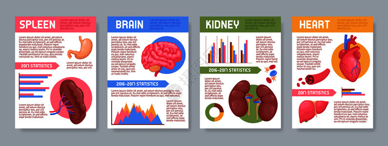 套带人体内脏器官的海报,包括大脑肾脏心脏脾脏信息图元素的孤立矢量插图人体内脏海报套图片