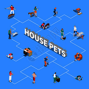 人们花时间与他们的宠物等距流程图蓝色背景三维矢量插图带宠物的人流程图图片
