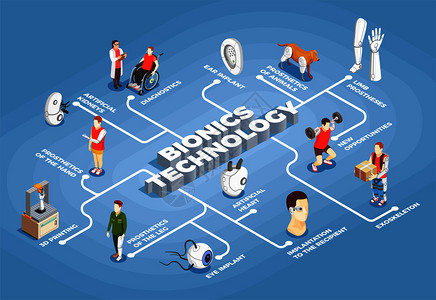 仿生技术流程图人工器官三维打印机眼睛耳朵植入物外骨骼图标等距矢量插图仿生技术等距流程图图片