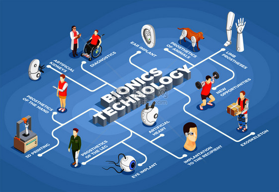 仿生技术流程图人工器官三维打印机眼睛耳朵植入物外骨骼图标等距矢量插图仿生技术等距流程图图片
