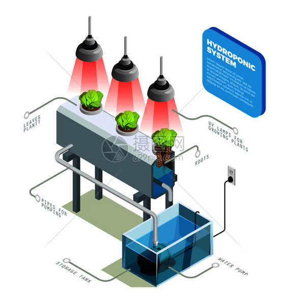 水培系统信息图布局解释人工环境中植物生长的方法,没土壤等距矢量图水培系统信息图布局图片