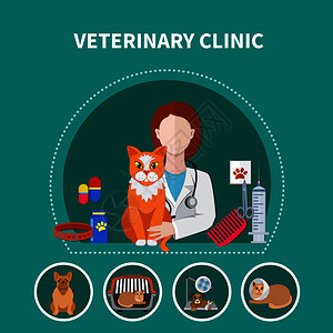 兽医诊所动物宠物护理传单广告模板与治疗药物平圆图标矢量插图兽医诊所平海报图片