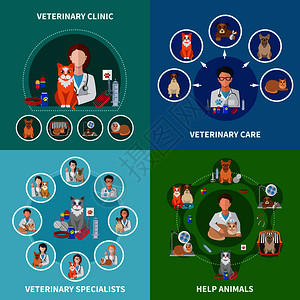 兽医诊所动物护理治疗程序药物专家建议4平图标方形孤立矢量插图兽医平图标图片