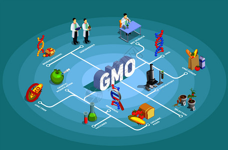 基因生物等距流程图绿松石背景与DNA,研究,机食品,基因商品载体插图基因生物等距流程图图片