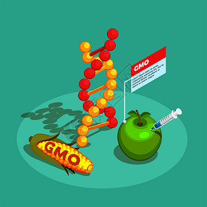 用DNA分子基因玉米苹果载体插图绿松石背景上的基因食品等距成基因食品等距成分图片