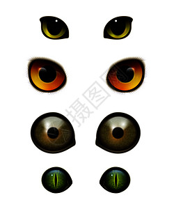 动物 眼睛插画_动物 眼睛卡通_动物 眼睛插图_手绘_板绘_摄图网