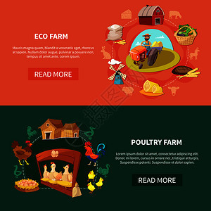 两个水平农场卡通横幅生态家禽农场标题矢量插图农场卡通横幅套图片