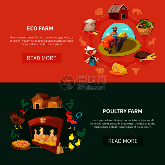 两个水平农场卡通横幅生态家禽农场标题矢量插图农场卡通横幅套图片
