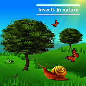 昆虫自然标题中的现实构图海报与蚱蜢蚂蚁蜗牛草树矢量插图蜗牛昆虫自然海报图片