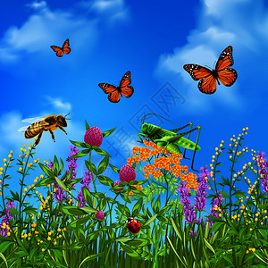 昆虫夏季草地上逼真的彩色构图,蝴蝶大黄蜂蚂蚱瓢虫矢量插图夏天的昆虫很逼真图片