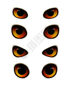 猫头鹰情感眼睛现实收集与鸟眼同形状的空白背景矢量插图猫头鹰眼睛写实收藏图片