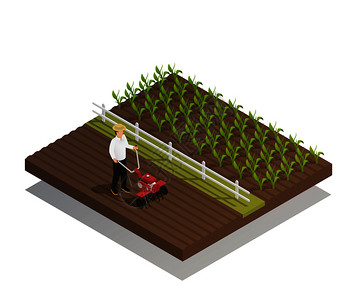 农业机械农业设备等距成与手推花园耕耘机耙种植作物矢量插图农业园艺农业设备成图片