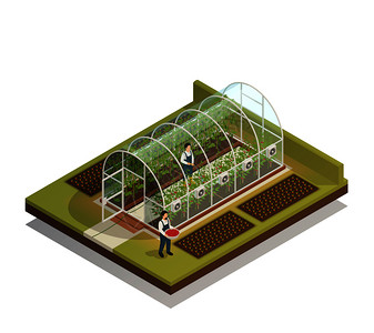 隧道形状塑料温室设施与工人浇水植物施肥幼苗等距成矢量图隧道型温室等距成图片