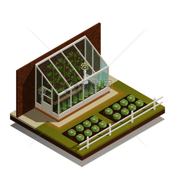 传统的精益璃温室与轻植物等距成的绿色植物户外园艺矢量插图精益温室等距成图片