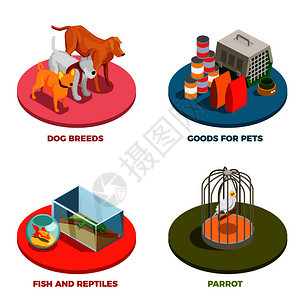 宠物店2x2与狗品种商品宠物鹦鹉鱼爬行动物等距图标矢量插图宠物店2x2理念图片