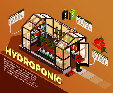 水培等距成与温室图像描述建设要素植物护理方法矢量插图水培等长成分图片