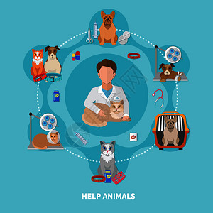 帮助动物兽医护理治疗药物平圆构图海报与宠物医生中心矢量插图兽医护理平海报图片