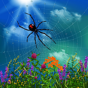 蜘蛛网上日光浴的野花阳光明媚的夏天现实的图像矢量插图昆虫的本现实的图片