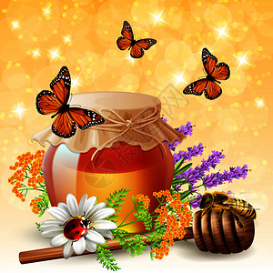 飞行蝴蝶瓢虫蜜蜂的真实成昆虫与薰衣草野花蜂蜜罐矢量插图昆虫与蜂蜜现实图片