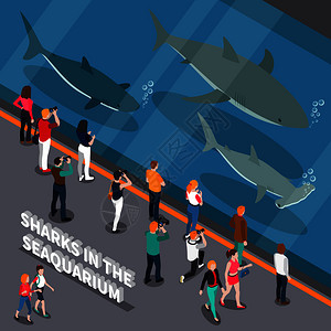 水族馆的成与鲨鱼水族馆游客符号等距矢量插图海洋水族馆等距成图片