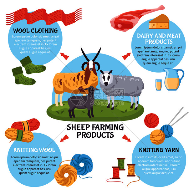 绵羊养殖场产品平信息海报与乳制品肉制品毛纱服装矢量插图绵羊繁殖信息图图片
