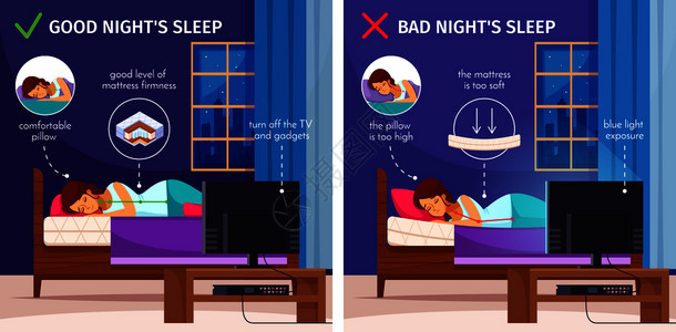 正确的睡眠卡通作品集两个平图像与室内公寓风景睡眠妇女矢量插图晚安睡眠收集图片