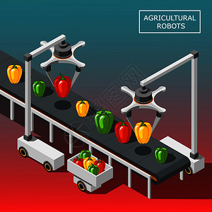 运输粮食农业机器人等距背景与现代自动化设备,旨蔬菜分类的运输载体插图农业机器人等距背景插画