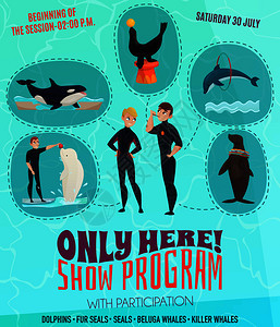 海豚馆展示节目海报与海豹,海豚鲸鱼符号平矢量插图海豚馆节目海报图片