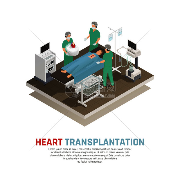 人心脏移植手术过程等距成三维矢量图人类心脏移植合物图片
