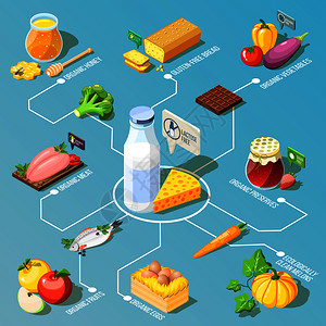 机食品,包括生态干净的水果蔬菜,乳制品等距流程图上的绿松石背景矢量插图机食品等距流程图图片