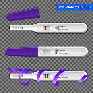 早孕2线测试试剂盒真实收集紫丁香丝带透明背景隔离矢量插图妊娠试验真实透明图片