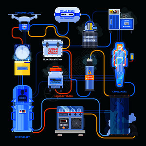冷冻平流程图,设备与液氮人体器官移植黑色背景矢量插图冷冻移植平流程图背景图片