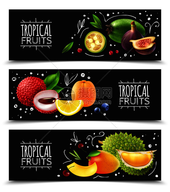 套水平横幅异国情调热带水果与元素隔离粉笔板背景矢量插图热带水果水平横幅图片