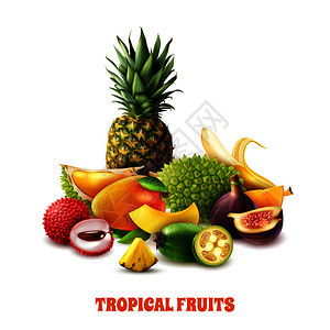 彩色异国热带水果成的白色背景三维矢量插图异国情调的热带水果成图片