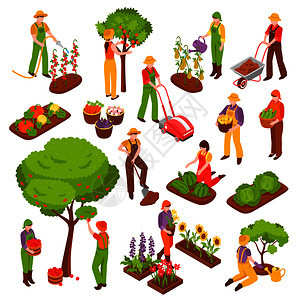 园艺等距与树木,水果蔬菜符号矢量插图园艺等距装置图片