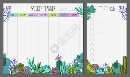 每周计划页现实模板与列表肉质植物底部边界矢量插图每周规划师背景图片