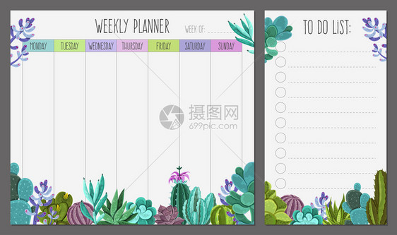 每周计划页现实模板与列表肉质植物底部边界矢量插图每周规划师图片