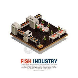 鱼业海鲜生产等距成,以海洋食品厂与输送机工人矢量插图鱼厂等距背景背景图片