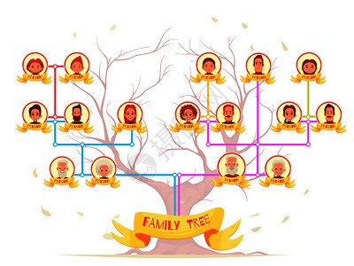 家族家谱信息图的亲属与颜色连接线树背景卡通矢量插图家族树信息图像化身图片