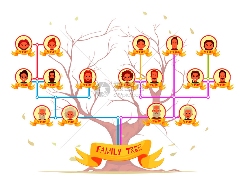 家族家谱信息图的亲属与颜色连接线树背景卡通矢量插图家族树信息图像化身图片