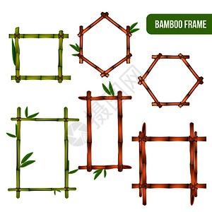绿色干竹装饰内部元素方形矩形六边形框架现实孤立矢量插图竹框写实套图片
