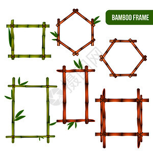 绿色干竹装饰内部元素方形矩形六边形框架现实孤立矢量插图竹框写实套图片