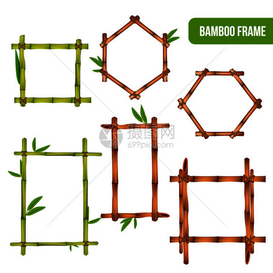 绿色干竹装饰内部元素方形矩形六边形框架现实孤立矢量插图竹框写实套图片
