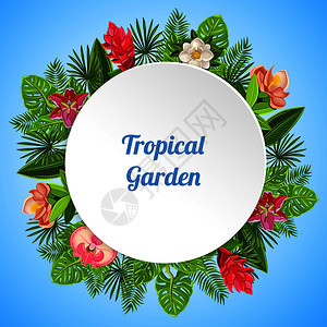 热带天堂背景,由各种植物成,叶子花与白板文本矢量插图热带花园圆形成图片