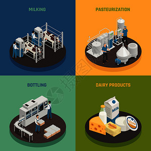 乳制品生产奶厂等距2x2与成代表同阶段的乳制品生产矢量插图乳制品理念图片