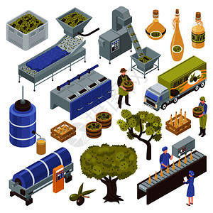 橄榄生产工艺等距与水果收获,运输,采油,过滤,储存,包装,分配矢量图橄榄生产装置图片